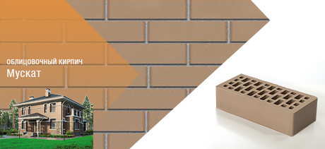 Облицовочный кирпич Мускат