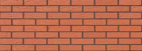 redrust10NFdark460x165